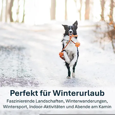 Kamminke, Hofschaft Am Haff