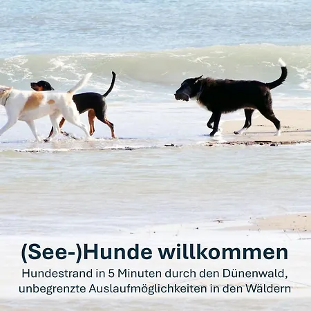 Kamminke, Hofschaft Am Haff *